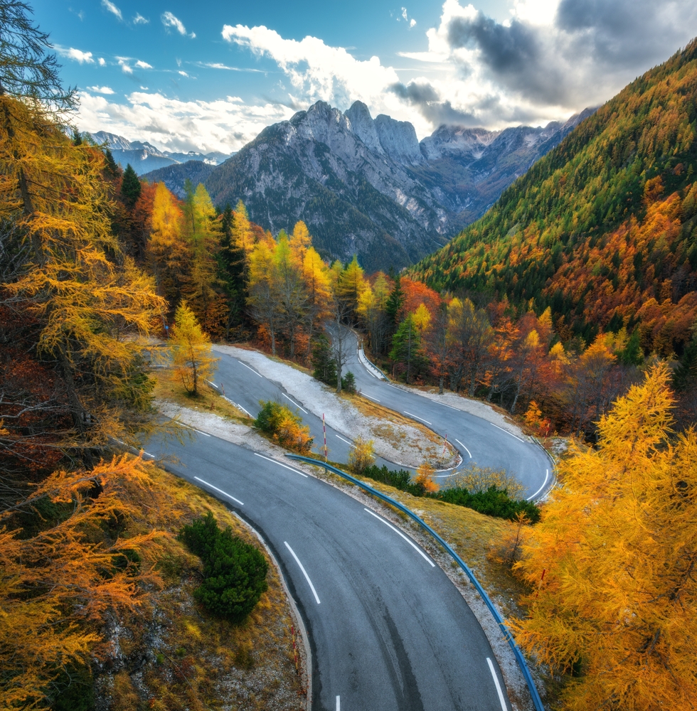 Aerial view of curvy mountain road and orange forest in golden autumn in Slovenia.