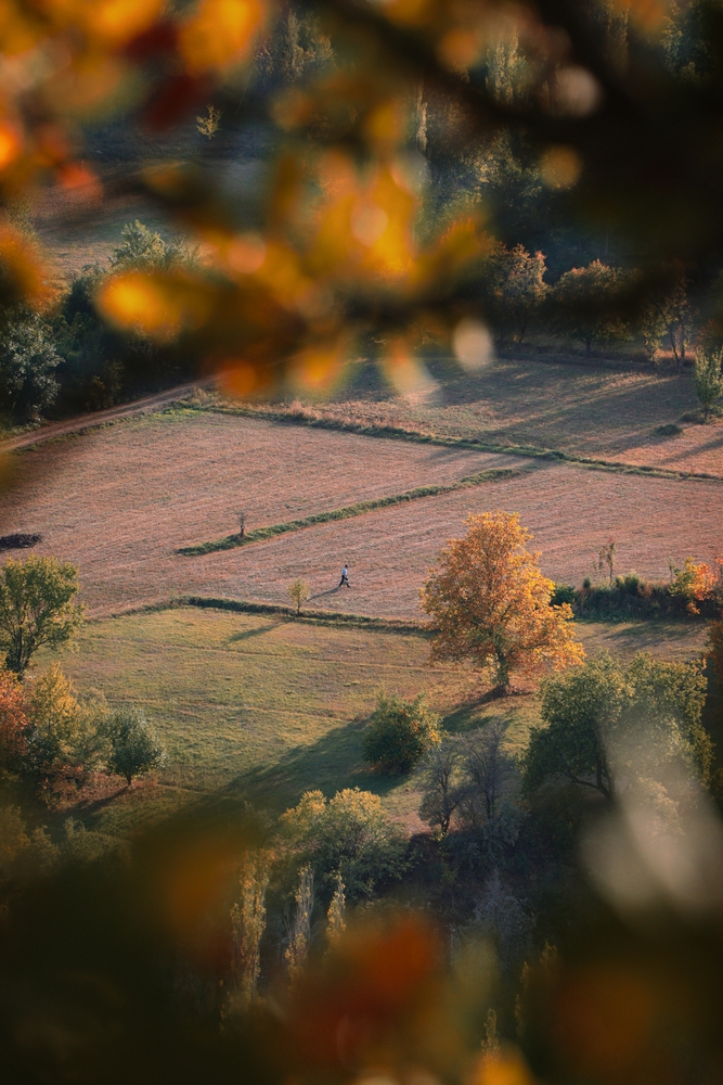 Autumn landscape framed by trees