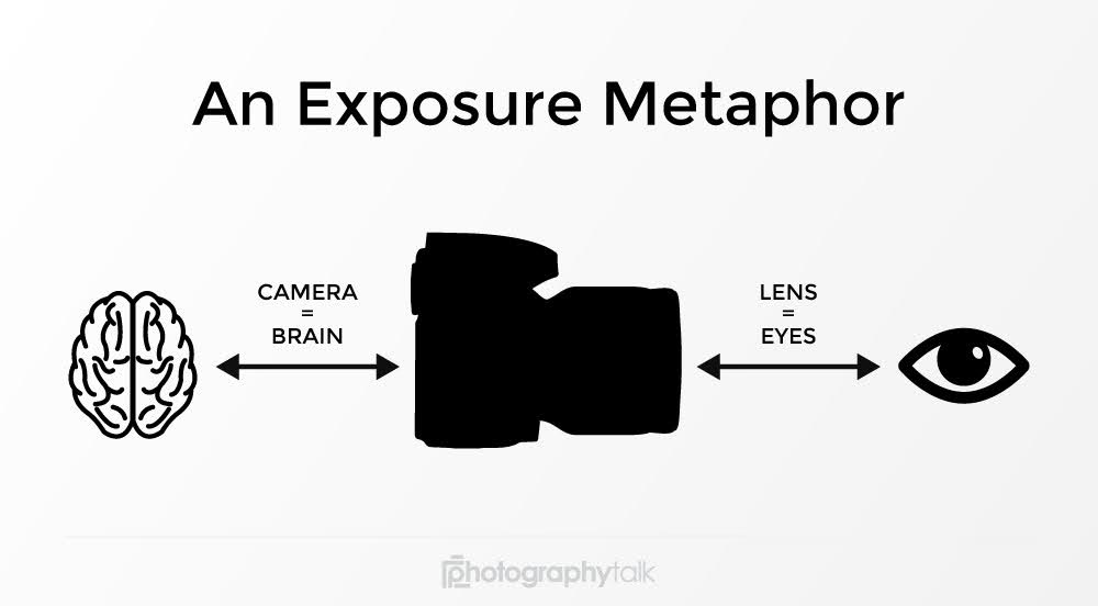exposure metaphor