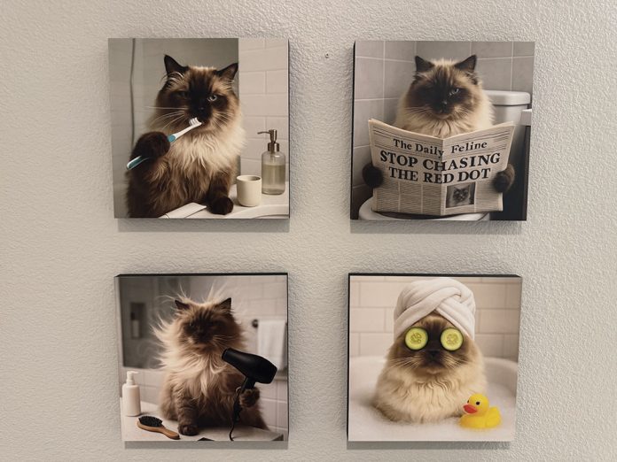 mixtiles pet portraits on wall