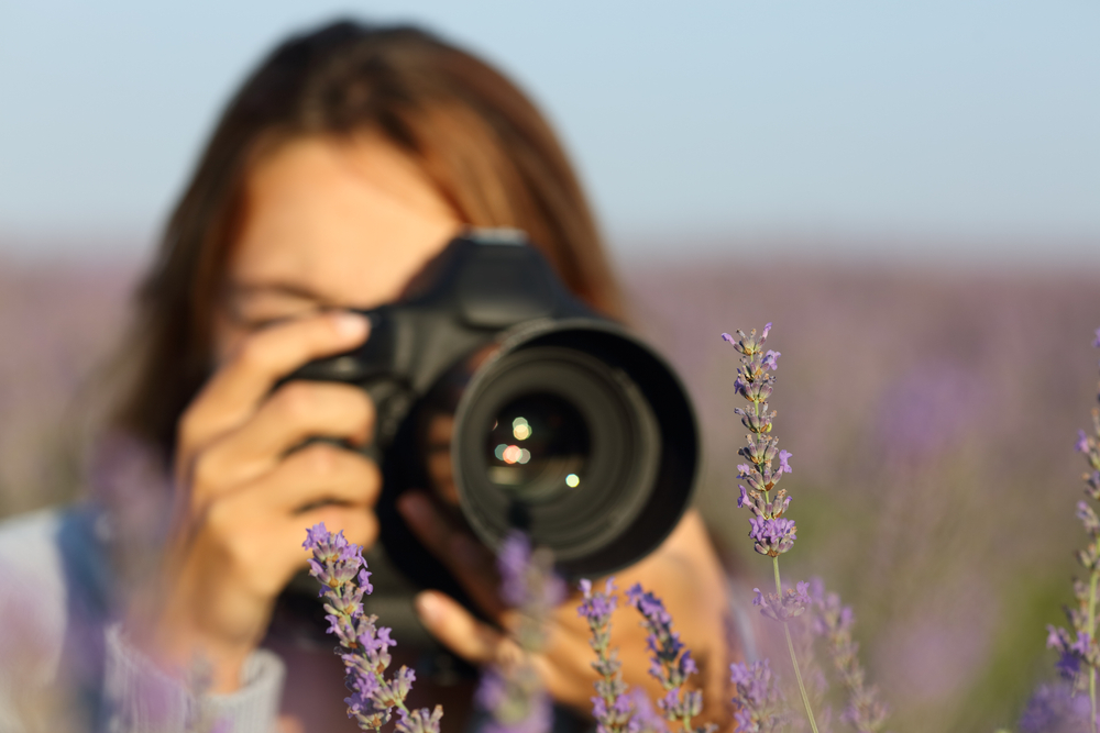 Photographer taking macro photos of lavender in a field