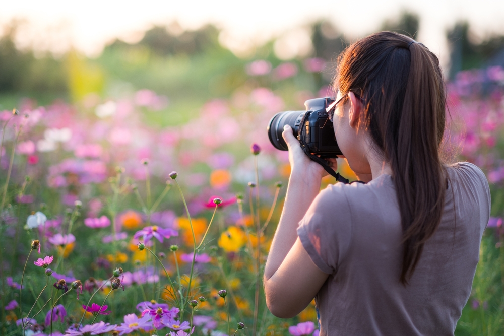 photographer taking photos of flowers