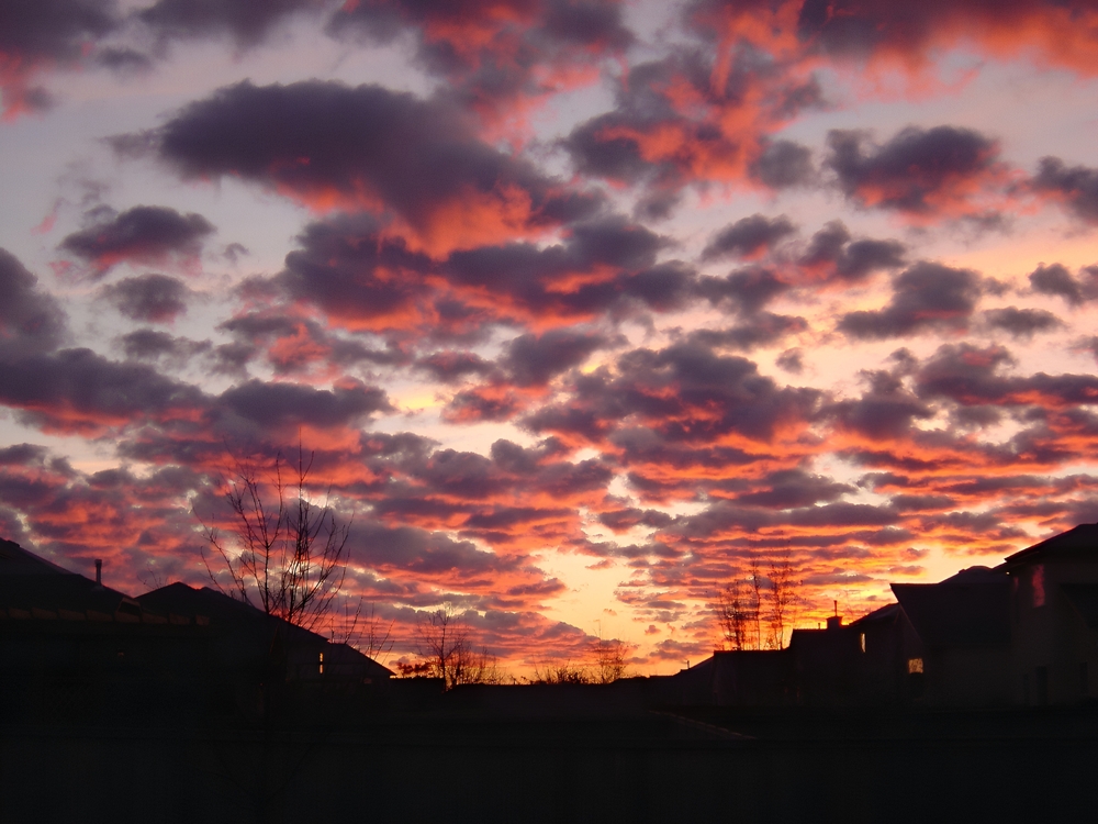 Pink Clouds over houses
