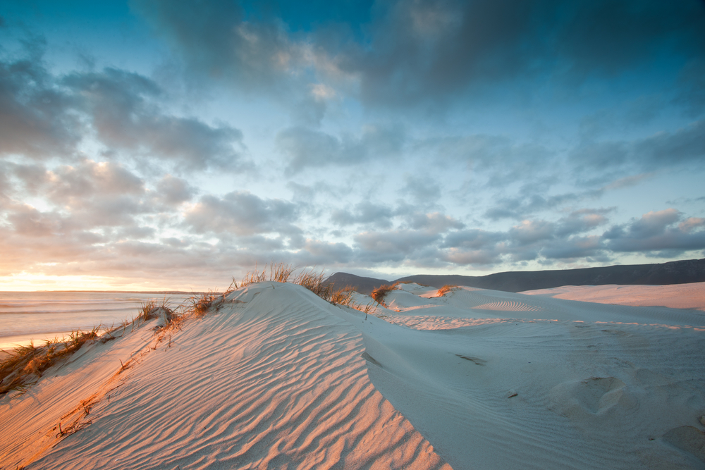 ripples in the sand dunes