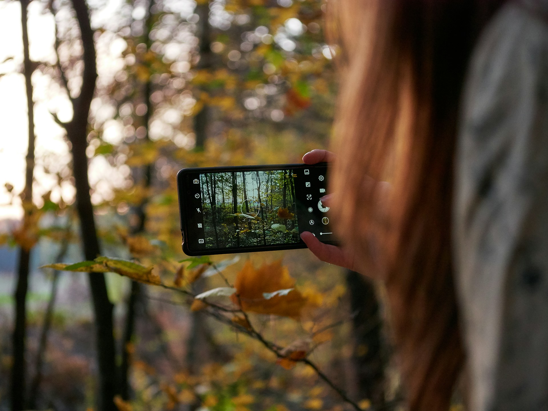 smartphone landscape photography gear
