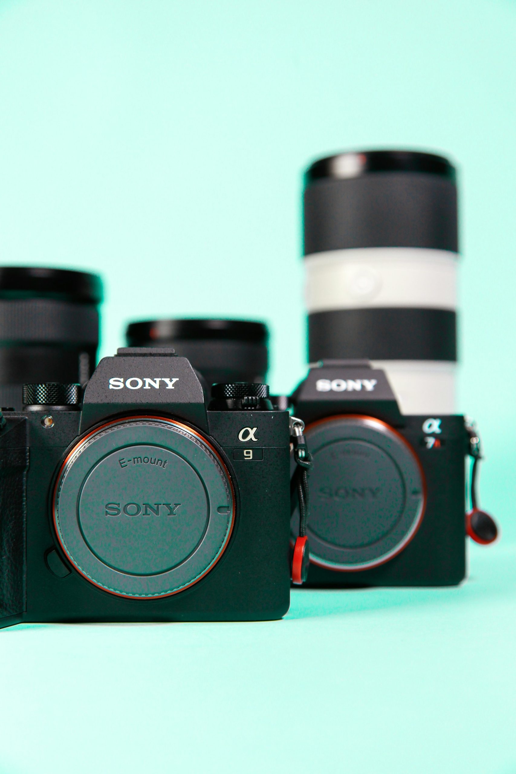sony a9 with other sony equipment