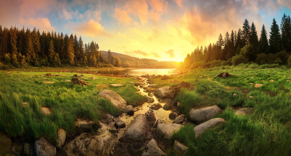 Sunrise over a small creek in a meadow surrounded by a pine forest