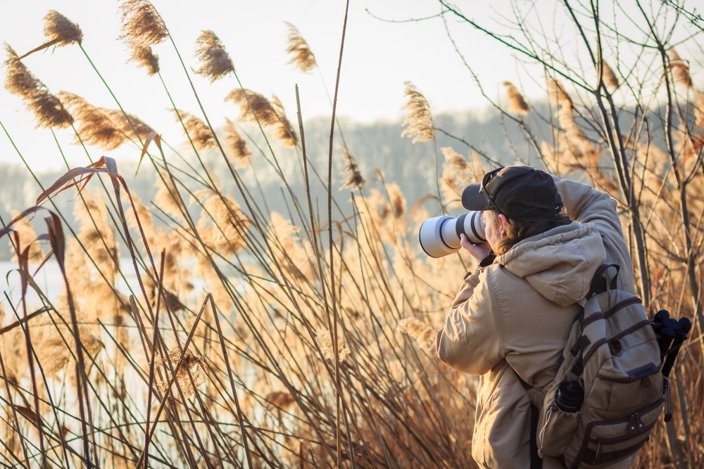 wildlife photographer in the grass